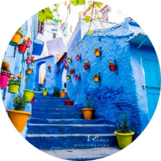 芝芝鸟艺术家园